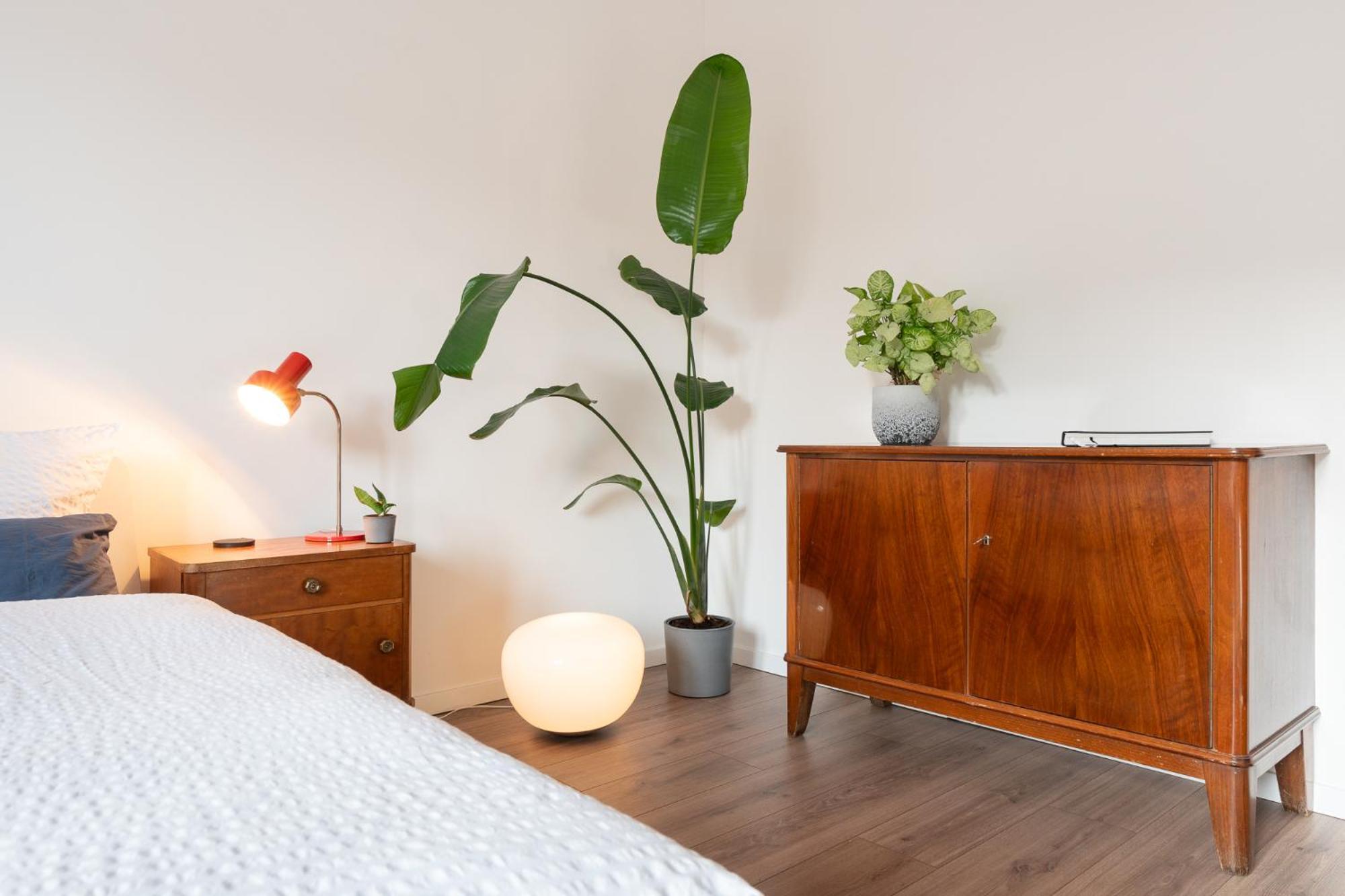 Luxurioeses Apartment, 10Min Innenstadt, Parkplatz แอร์ฟวร์ท ภายนอก รูปภาพ